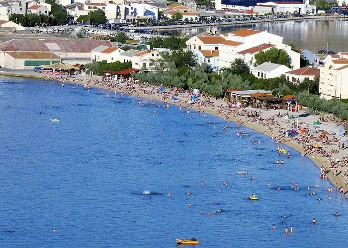 Apartament Plemić *