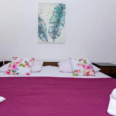 公寓 Plemic 帕格